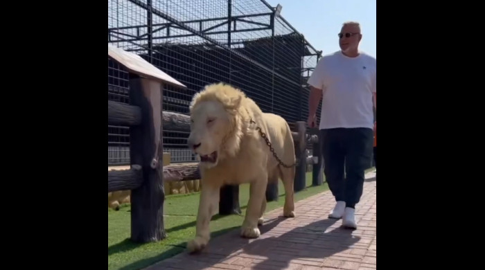 Cosmin Olăroiu la o grădină zoologică exclusivistă din Dubai / Foto: Instagram @albuqaish.jungle