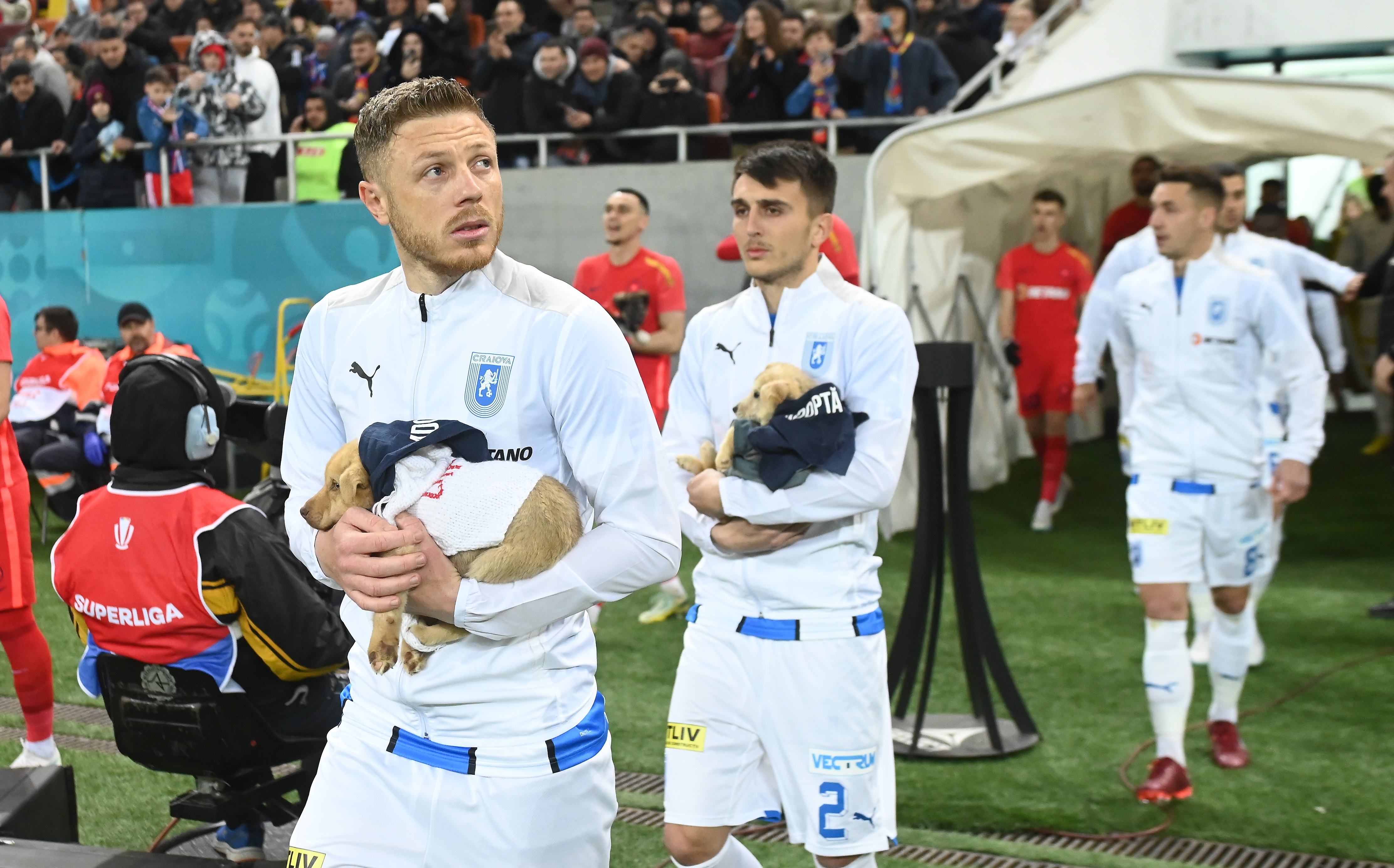 ”Nu ne-am certat”. Bogdan Mitrea a vorbit despre situația sa la Universitatea Craiova