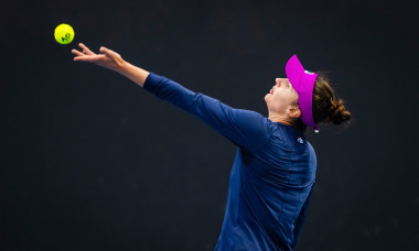 irina begu