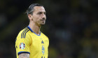 Sweden v Belgium, European Championship, EM, Europameisterschaft Qualifying, Group F, Friends Arena, Solna, Stockholm, S