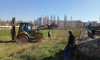 stadion
