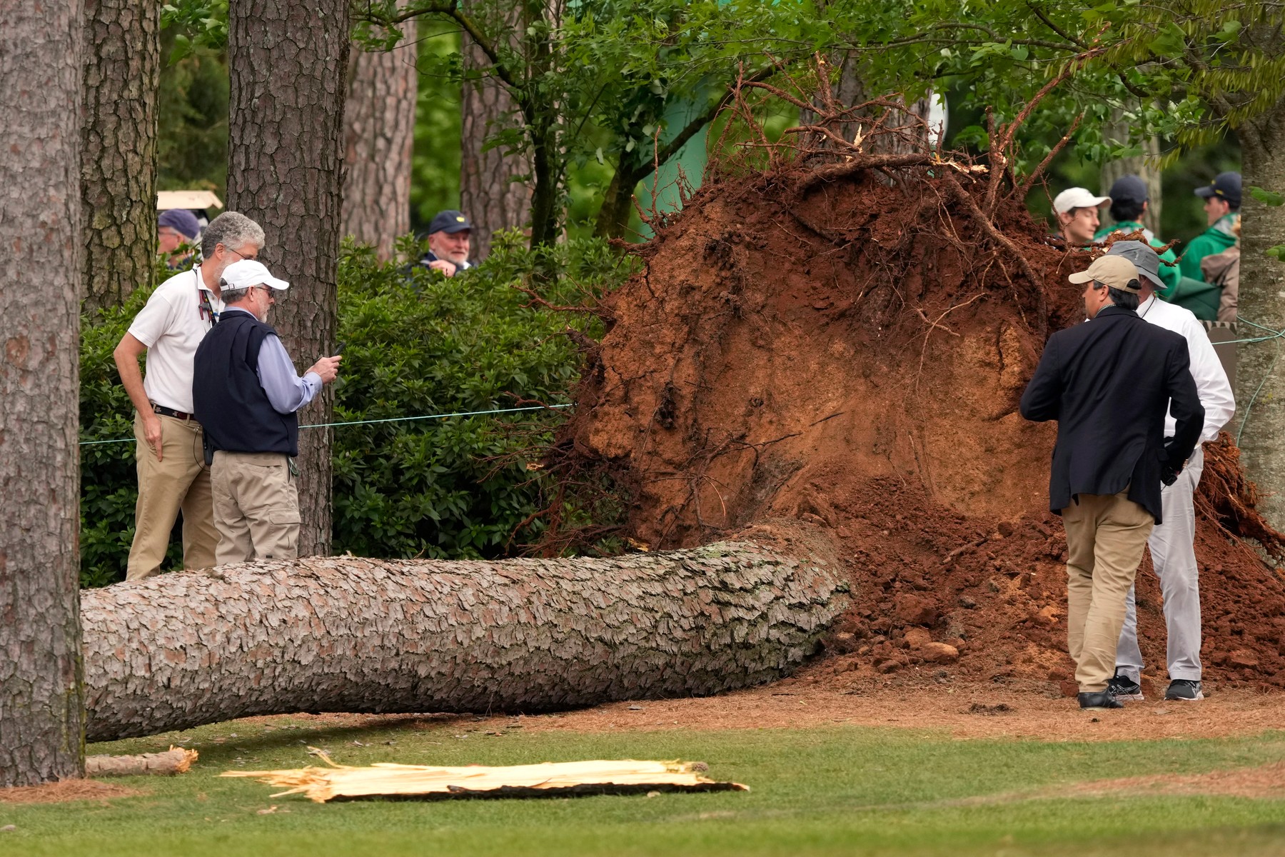 Momente de panică în timpul unui turneu de golf! Mai mulți copaci au căzut în zona în care erau spectatorii