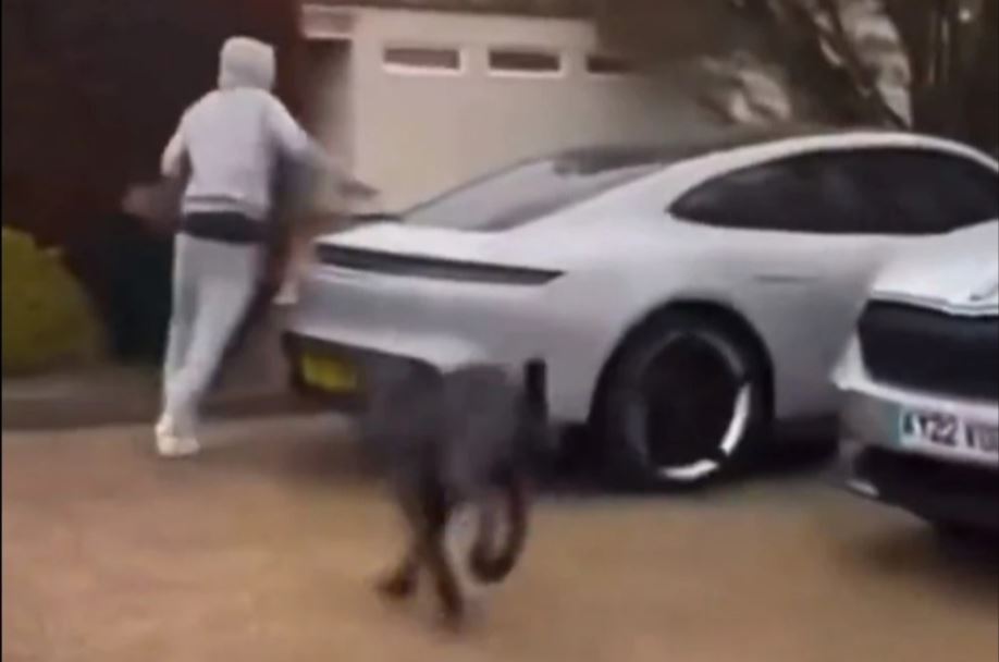 Un atacant de la West Ham fuge de un câine de luptă, în timp ce colegii filmează: Pur și simplu, nu mă pot abține