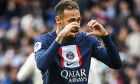 Paris Saint-Germain v Lille OSC - Ligue 1