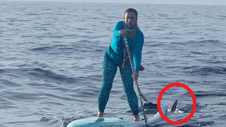 Teribil! Un rechin-ciocan a apărut de nicăieri: ”E mare?” Cum s-a încheiat totul: soțul sportivei a filmat