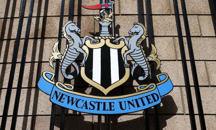 Newcastle United v Manchester City, Premier League Football, St James Park, Britain - 17 August 2014