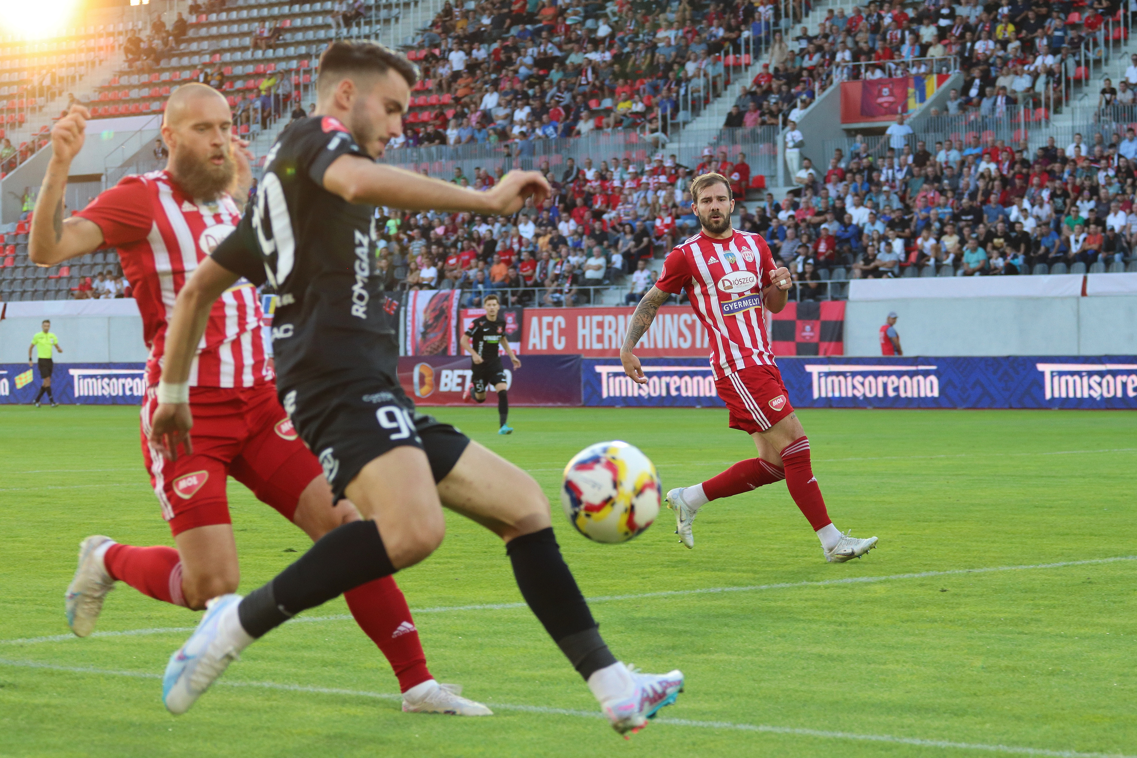 Hermannstadt - Sepsi 1-1. Echipele din Liga 1 își împart punctele în Cupă