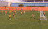GOL OCTAVIAN POPESCU (1)