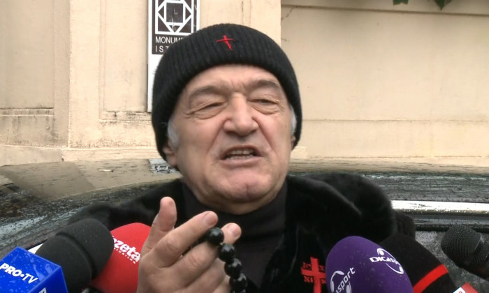 gigi becali palat