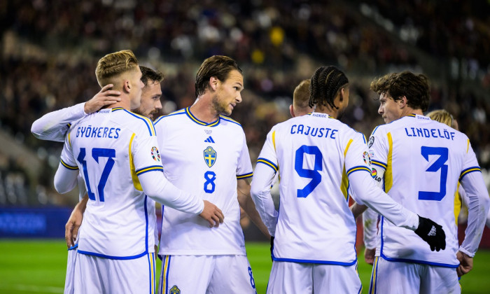 Football, UEFA Euro Qualifier, Belgium - Sweden