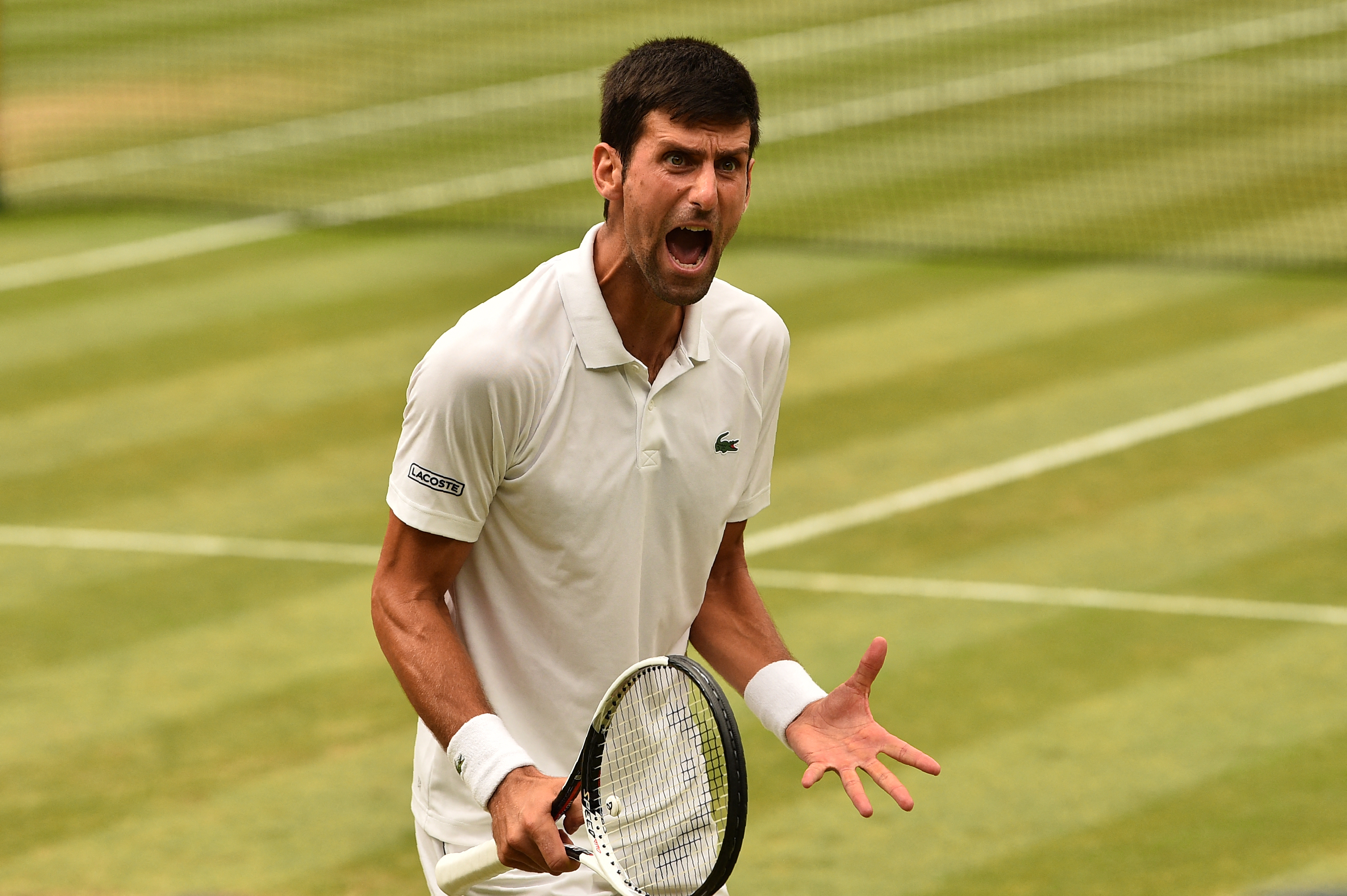 Novak Djokovic, atac frontal la ATP!