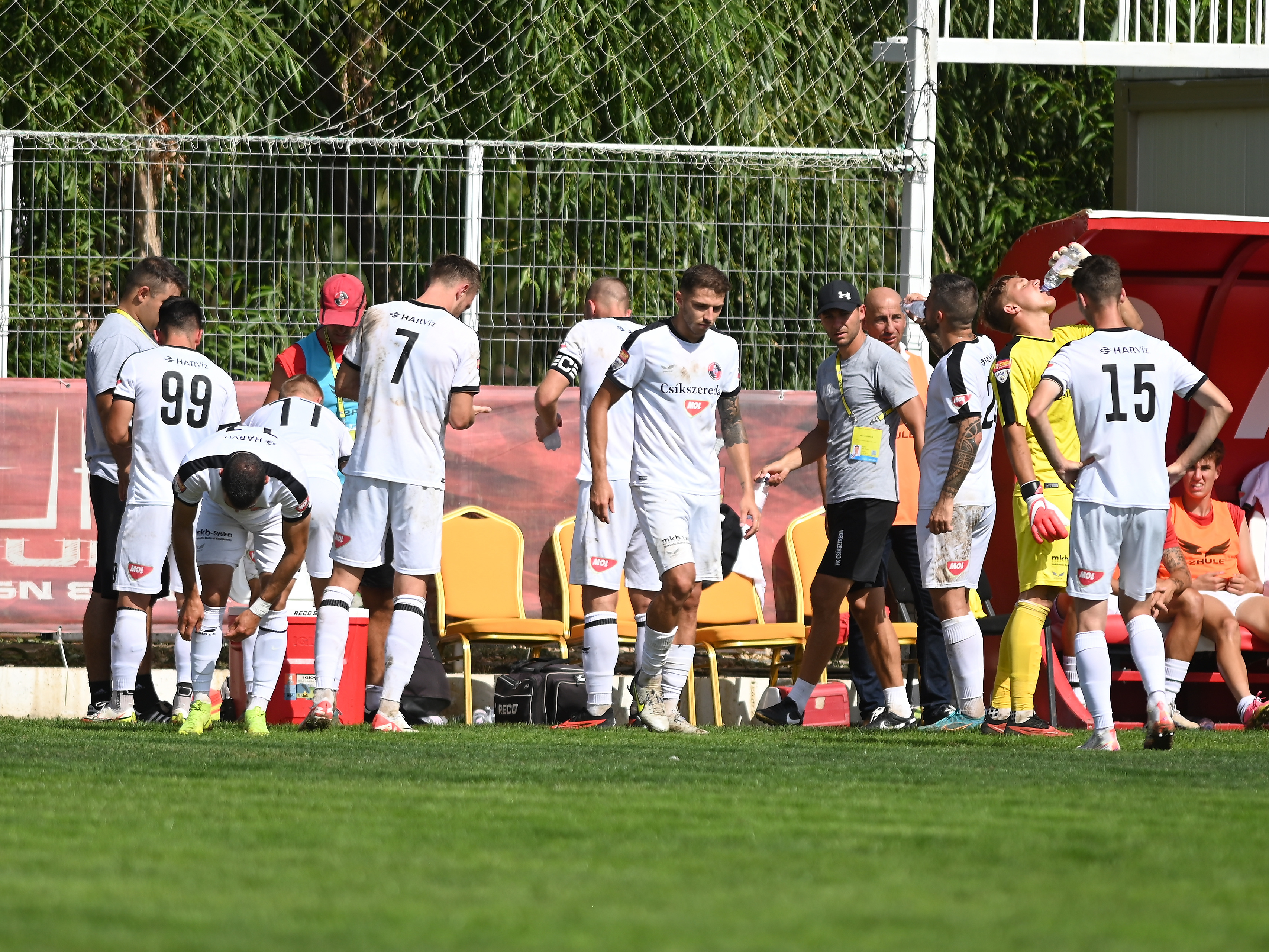 Gloria Buzău - Csikszereda 0-2. Oaspeții s-au impus, deși gazdele au dominat partida