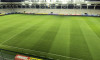 stadion arcul de triumf (1)