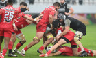 RUGBY:STIINTA BAIA MARE-DINAMO BUCURESTI, LIGA NATIONALA DE RUGBY (9.12.2023)