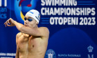 European Short Course Championships 2023, Swimming