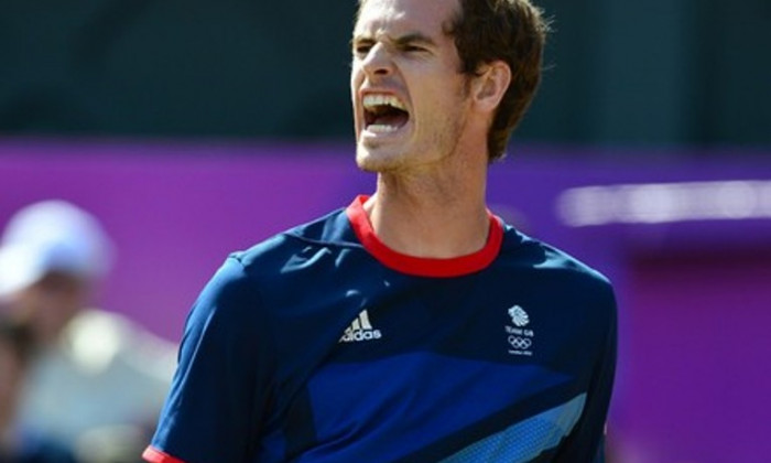 andy murray