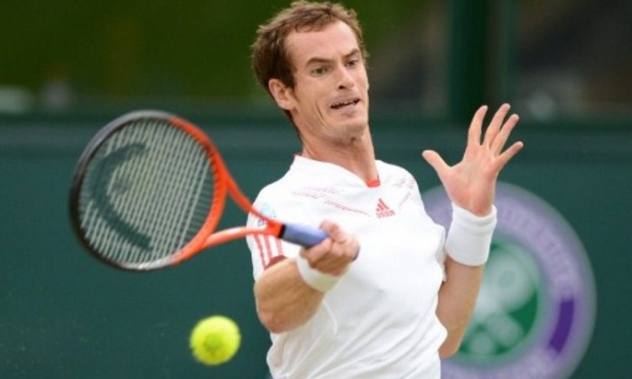 andy murray ci