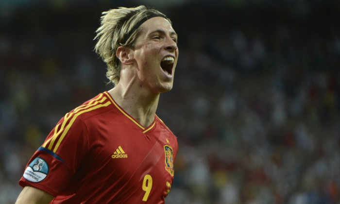 fernando torres spania