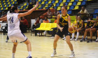 icim arad