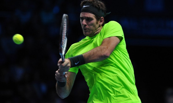 del potro tipsarevic