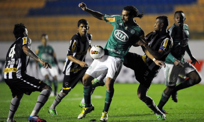 botafogo-palmeiras