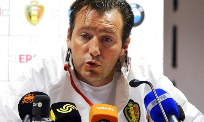 wilmots romania