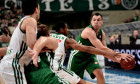 zalgiris.panathinaikos