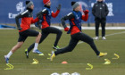 menez absenta