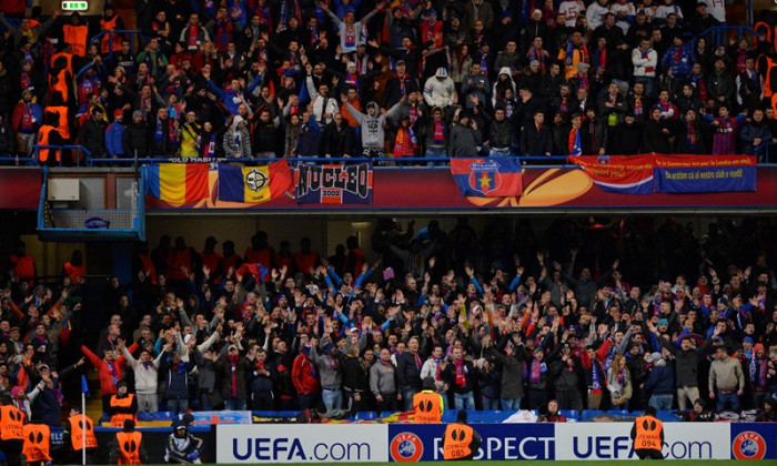 steaua fani