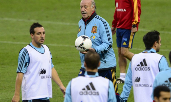 nationala spaniei del bosque