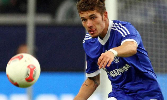 roman neustadter