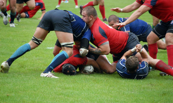 steaua rugby