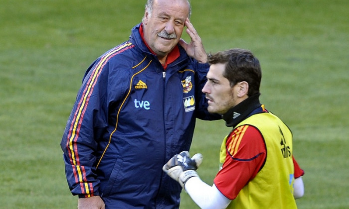 del bosque casillas