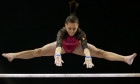 larisa iordache