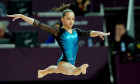 larisa iordache