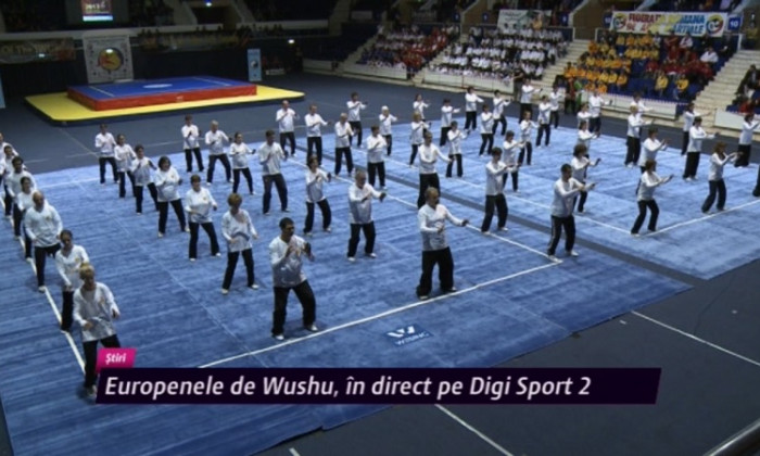 europene wushu