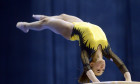 larisa iordache MFX