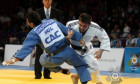 Danculea judo