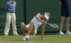 sharapova la pamant