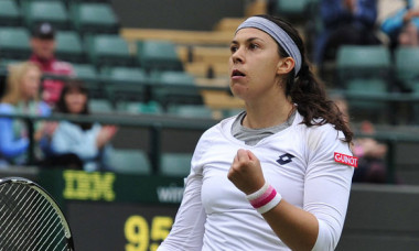 bartoli wimbledon 2013