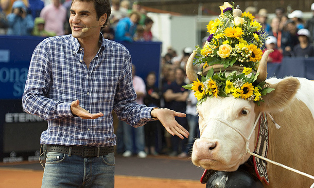 Federer vaca