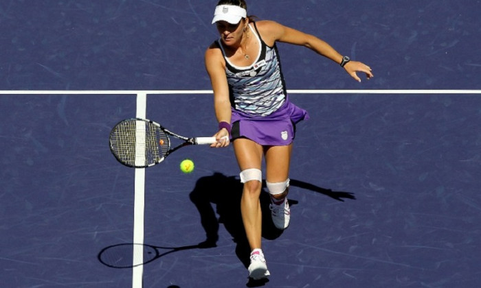 dulgheru indian wells