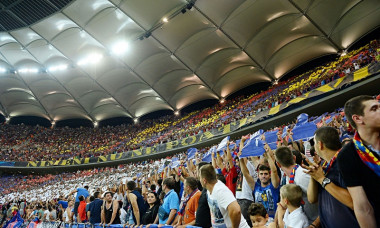 Steaua fani arena