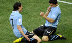 cavani suarez