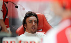 alonso ferrari