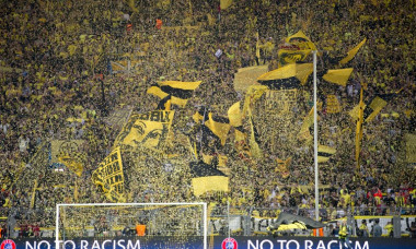 Dortmund fani