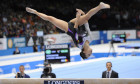 larisa iordache-2