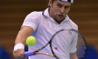 adrian ungur tenis victorie