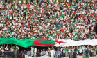 fani algeria