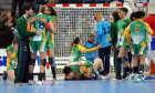 ungaria brazilia handbal